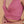 Crop Top Itzel Rouge Pink